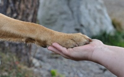 Holding On While Moving On