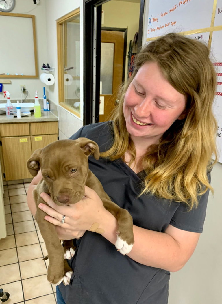 Valley Veterinary Clinic