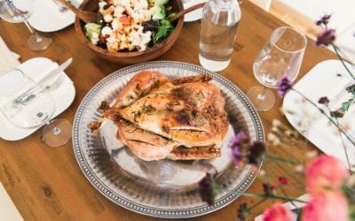 Thanksgiving Food And Pets