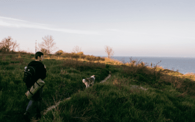 Camping Tips for You and Your Pet