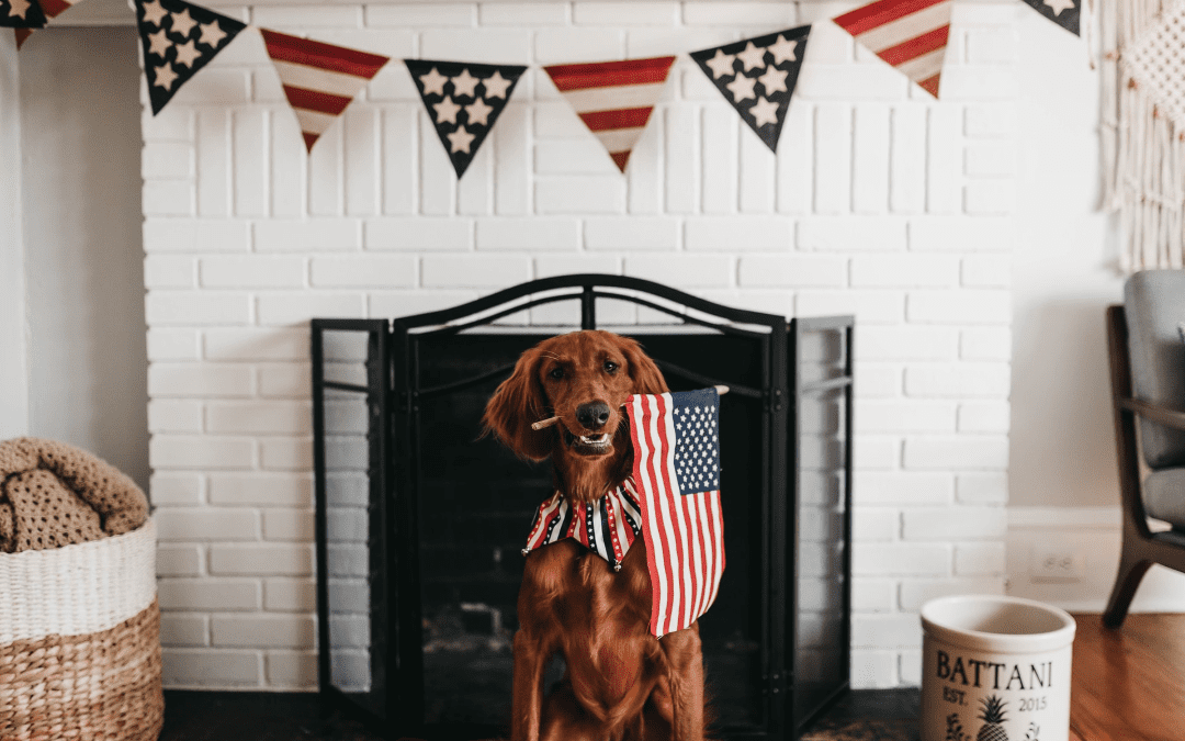 Celebrating the Fourth of July with Your Pet