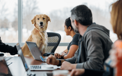 Preparing Your Pet for “Bring Your Pet to Work Day”