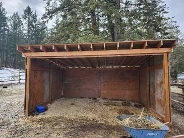 Rainy Season Care for Large Animals: Shelter, Hoof Health & Rain Rot Prevention